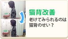猫背矯正センター